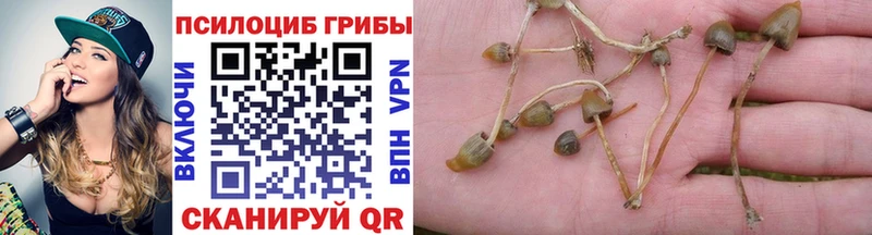 Псилоцибиновые грибы ЛСД Старая Русса